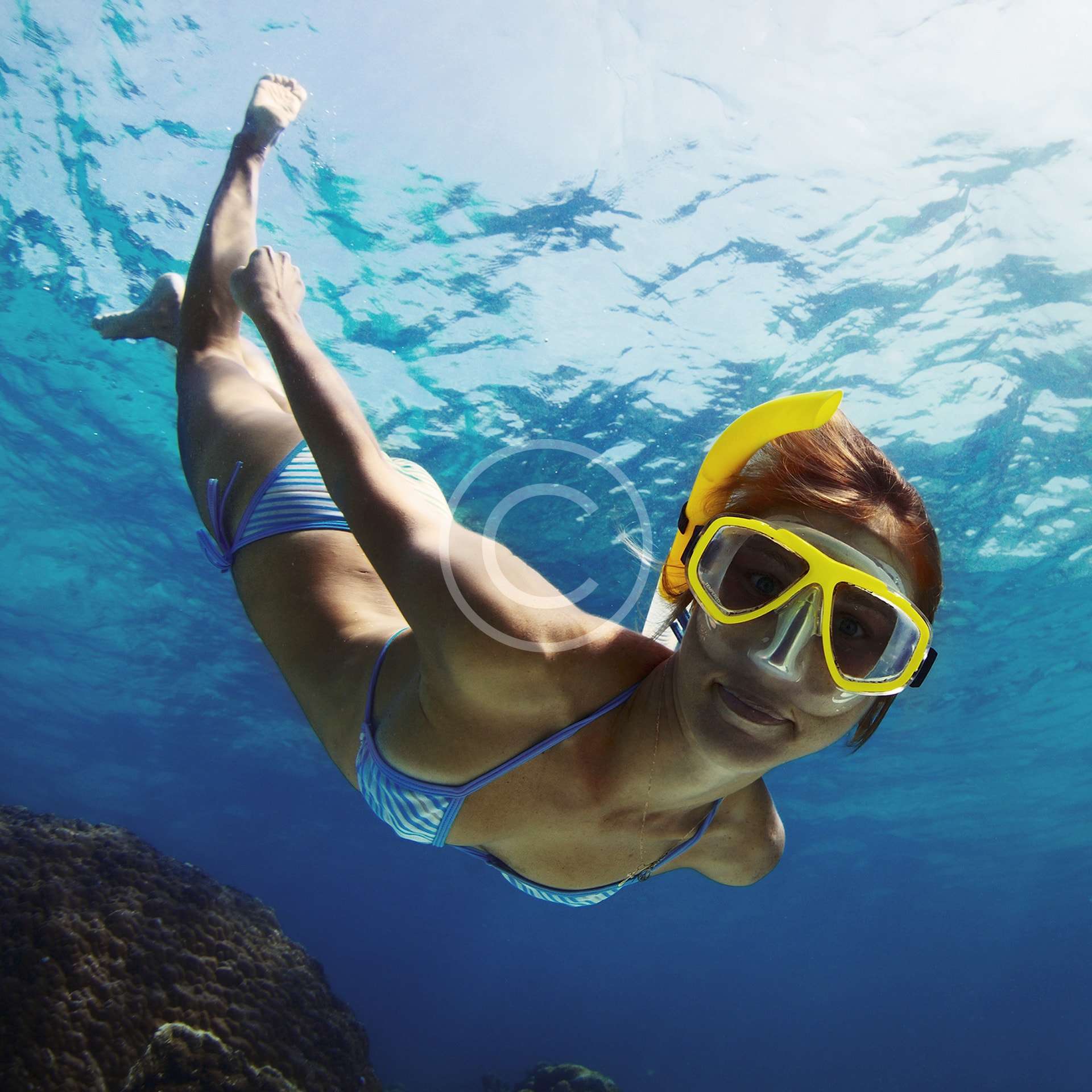 Discover Local Diving